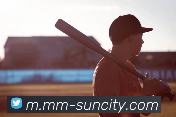 澳门太阳城平台生态图